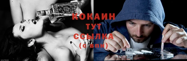 соль ск Семилуки